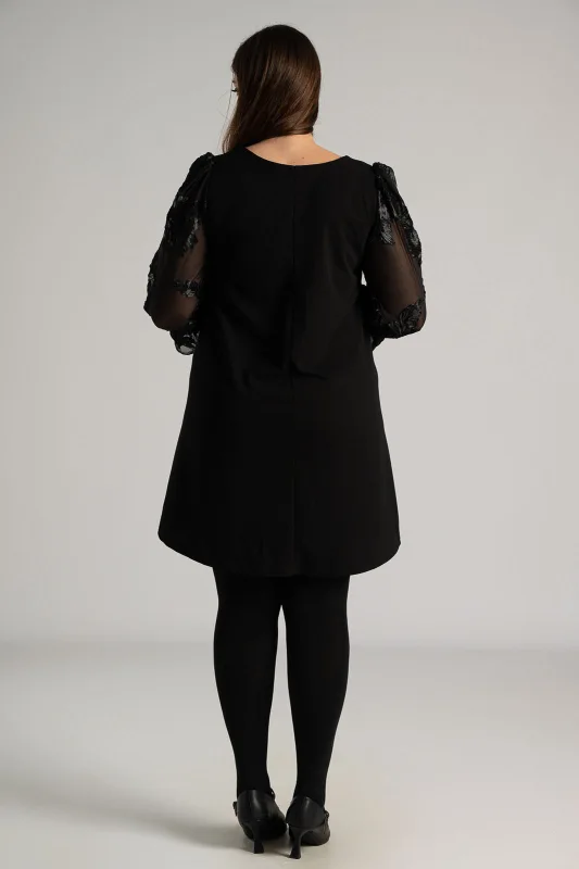 Dress Long Sleeve Transparency