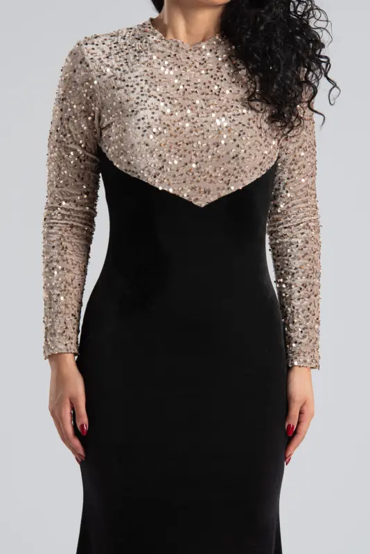 Maxi Sequin Velvet Dress