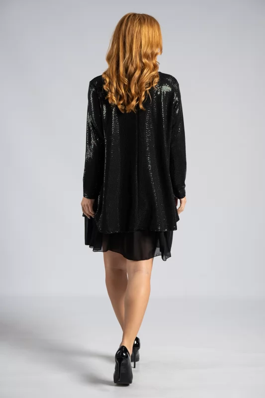 Shimmer Dress Transparency