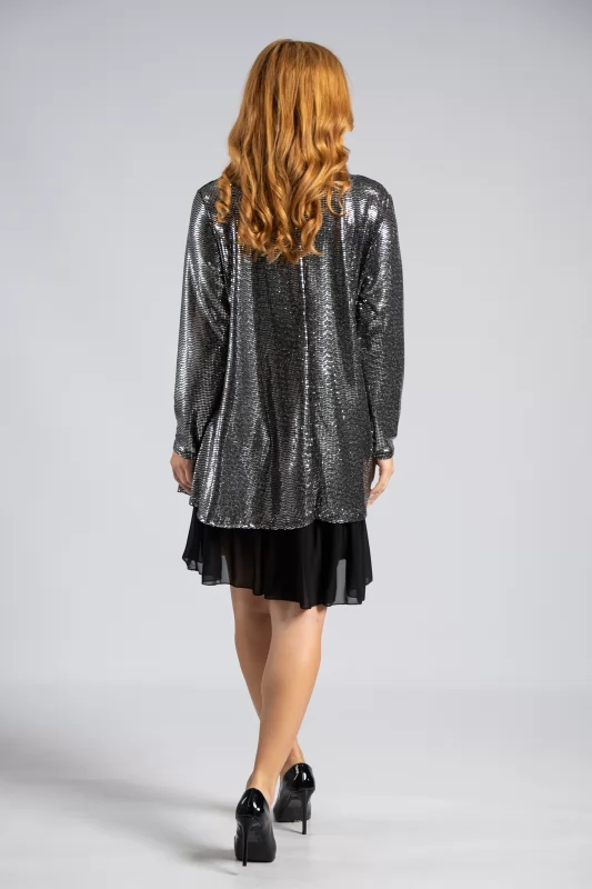 Shimmer Dress Transparency
