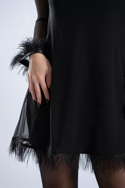 Φόρεμα Τούλινη Διαφάνεια Φτερά Μαύρο
