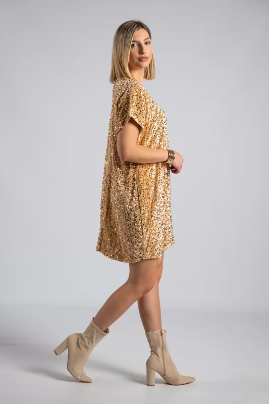 Velvet Dress Sequins