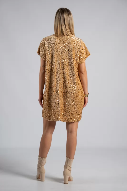 Velvet Dress Sequins