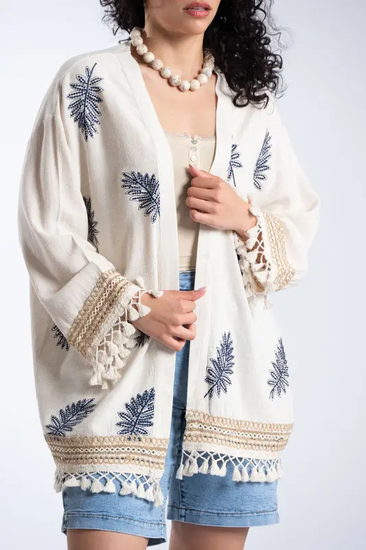 Κιμονό Κεντημένες Λεπτομέρειες Κρόσια