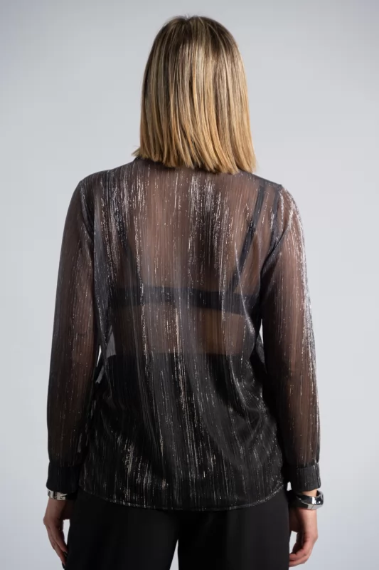 Blouse C-throu Clasp Pencil