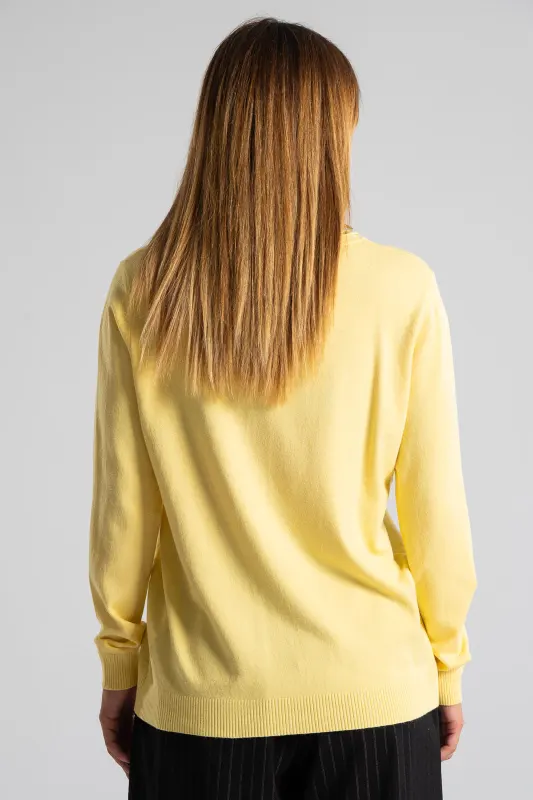 Basic Knitted Blouse  