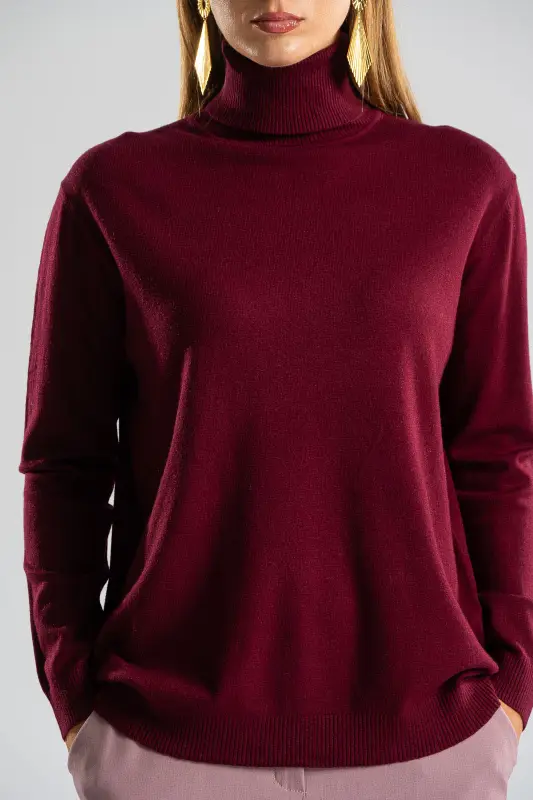 Blouse Basic Knitted Turtleneck 