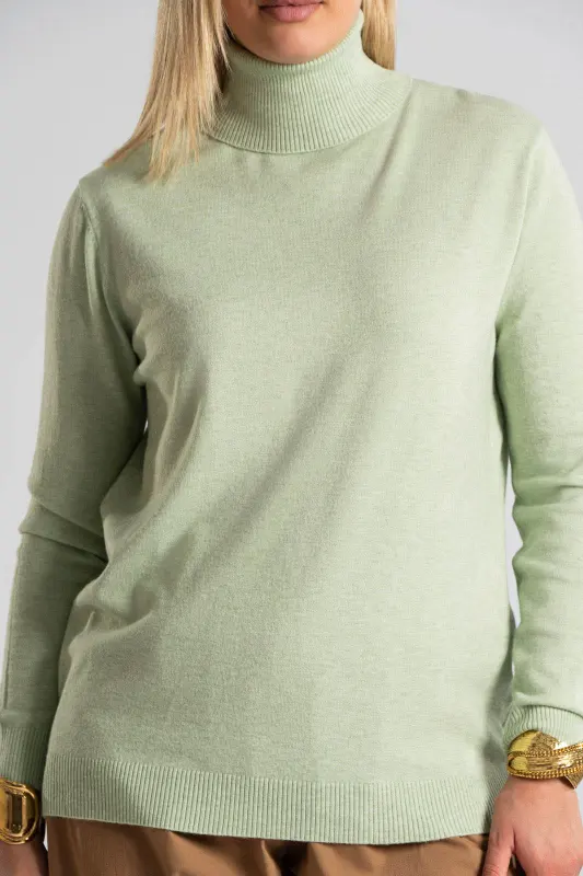 Blouse Basic Knitted Turtleneck 