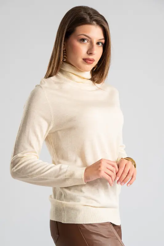 Blouse Basic Knitted Turtleneck 