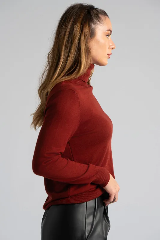 Blouse Basic Knitted Turtleneck 