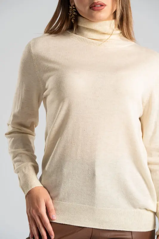 Blouse Basic Knitted Turtleneck 