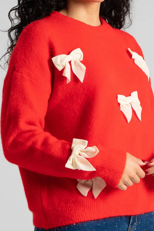 Μπλούζα Πουλόβερ Φιόγκοι