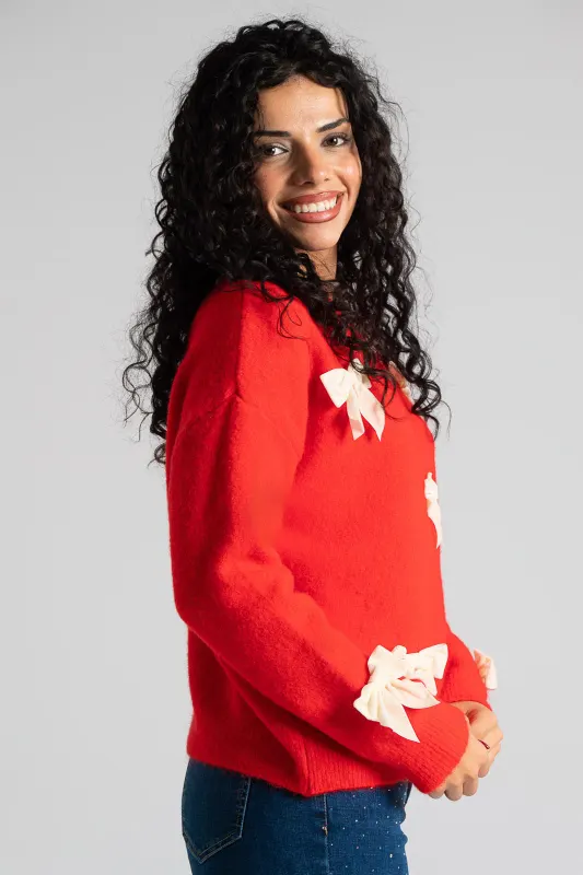 Μπλούζα Πουλόβερ Φιόγκοι