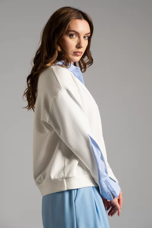 Blouse Striped Shirt Details 