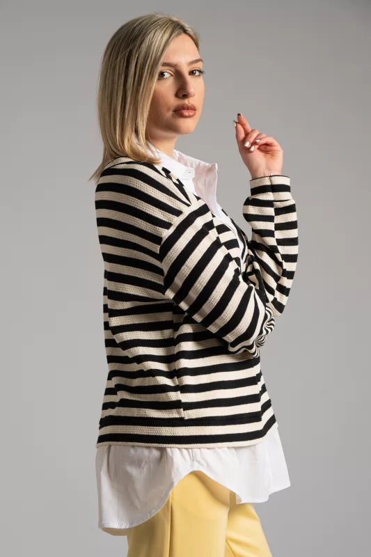 Blouse Stripes Shirt finish
