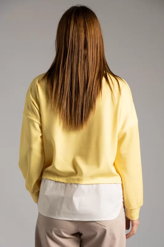 Blouse V Pins 