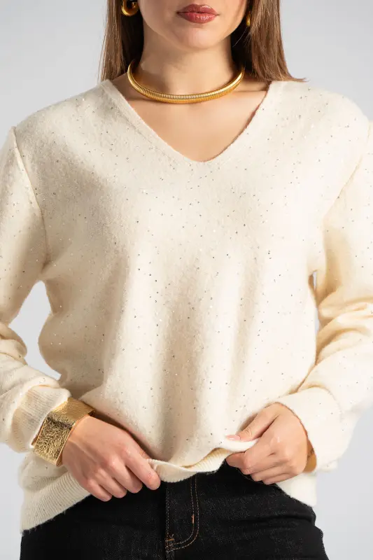 Blouse V-neck Small Sequins