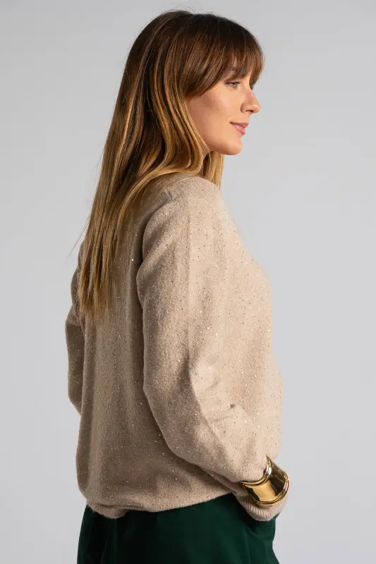 Blouse V-neck Small Sequins