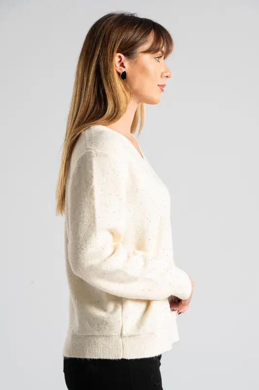 Μπλούζα V Λαιμόκοψη Μικρές Παγιέτες