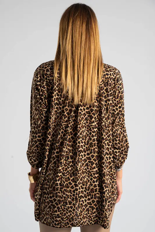 Blouse  V-neck Pleated