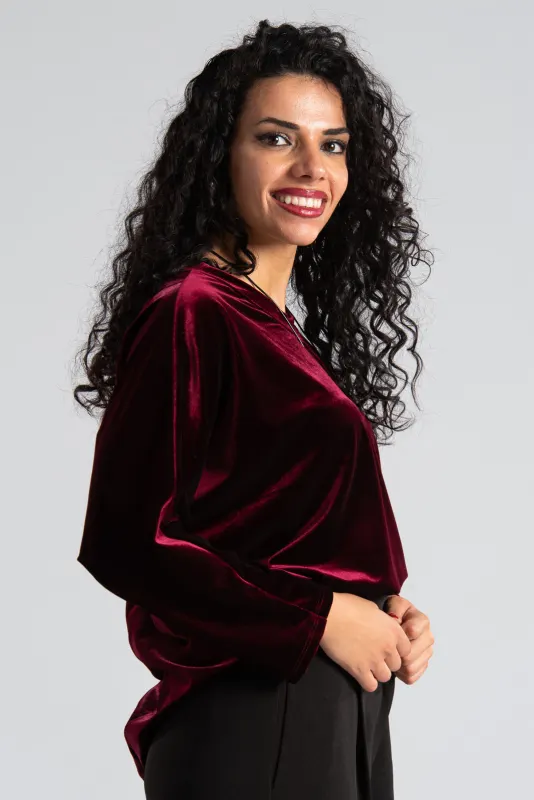 Velvet Batwing Sleeve Blouse