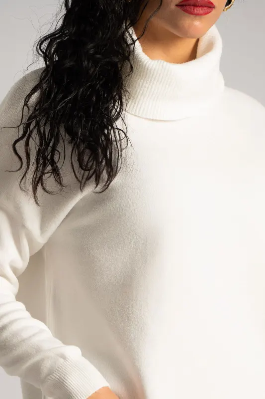 Blouse Basic Turtleneck