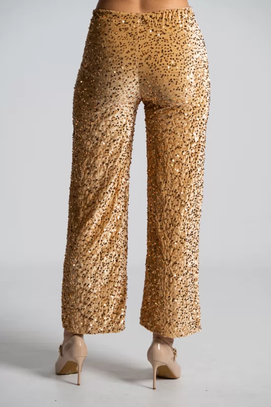 Velvet Pants Sequins
