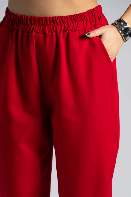 Form Fitting Style Trousers