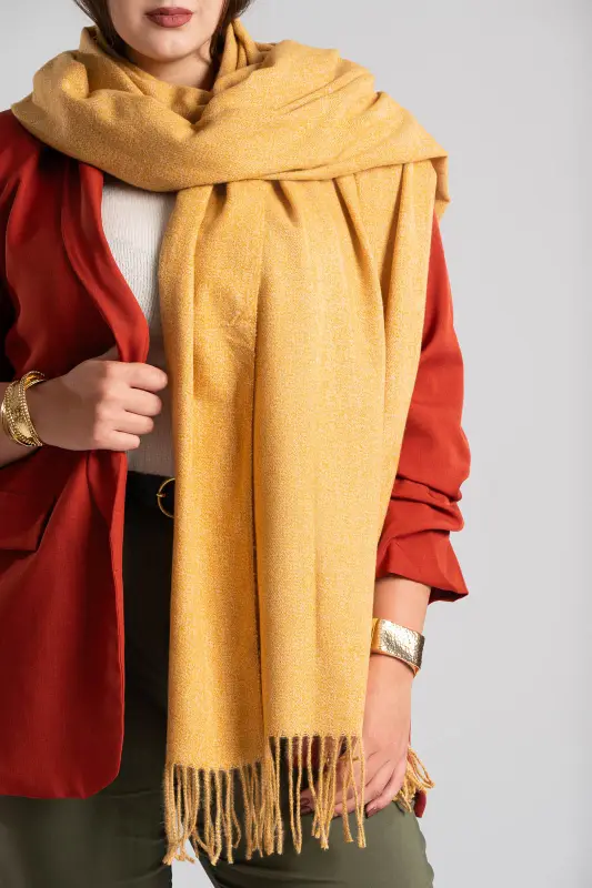 Pashmina Melange Fringes