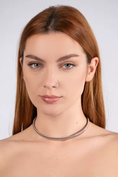 Silver periwinkle