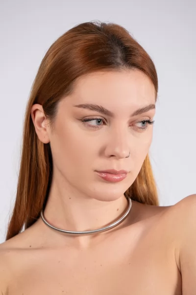 Silver periwinkle