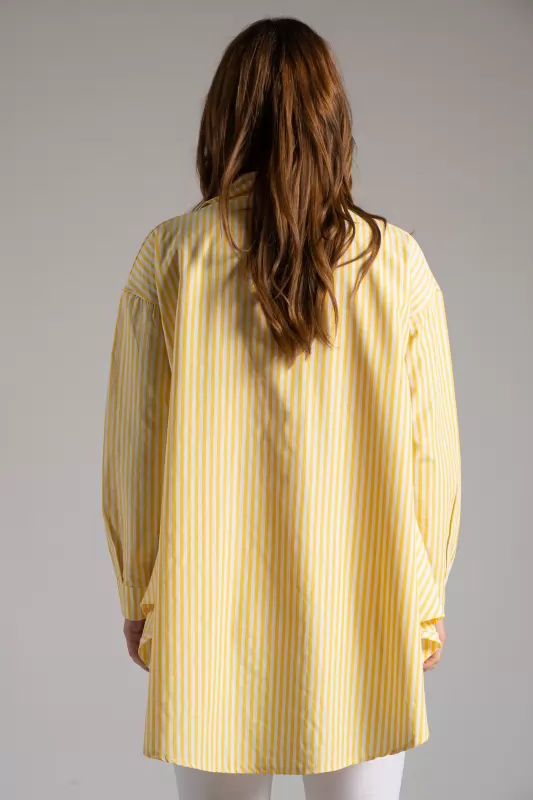 Shirt Casual Stripes