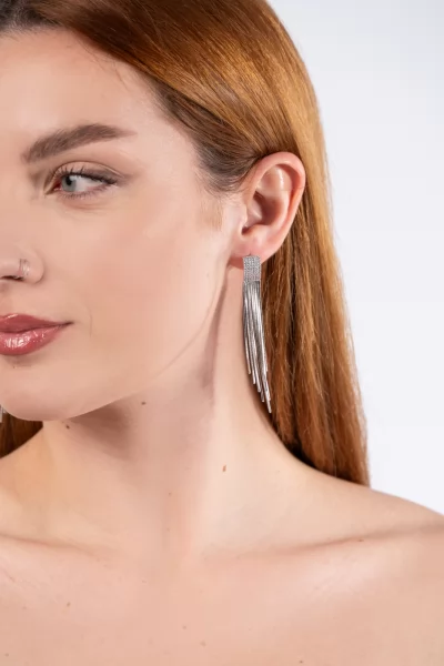 Earrings Chains Silver