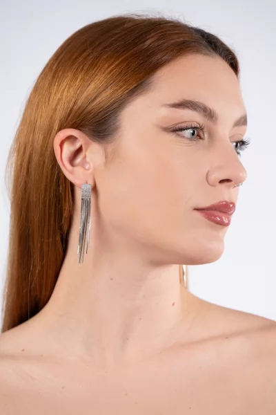 Earrings Chains Silver