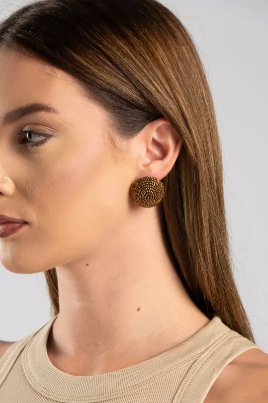Earrings Studs Blueberries