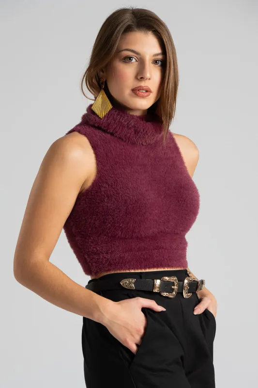 Top Crop Turtleneck