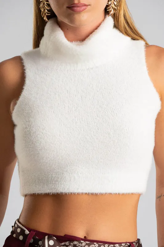 Top Crop Turtleneck