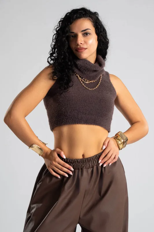 Top Crop Turtleneck