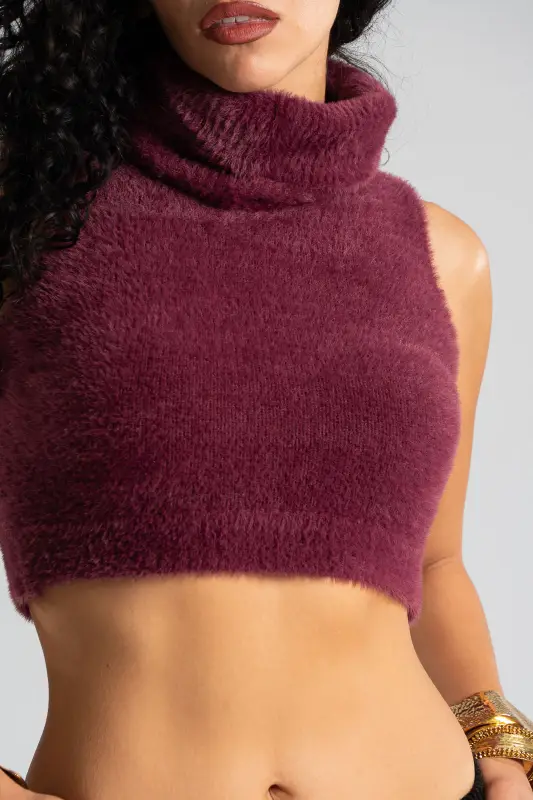 Top Crop Turtleneck