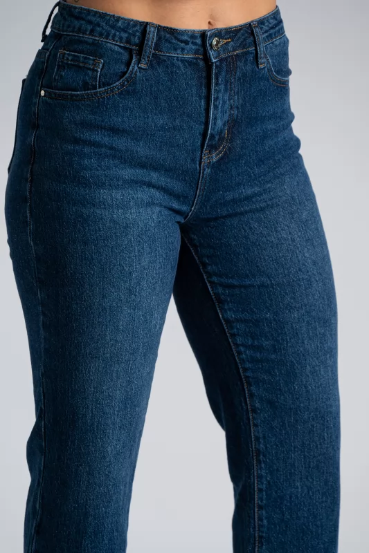 Παντελόνι Τζιν Regular Fit