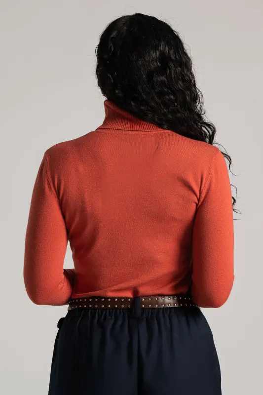 Turtleneck Knitted Blouse Solid Color