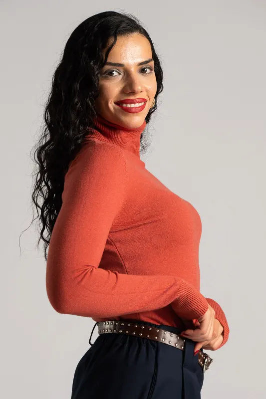 Turtleneck Knitted Blouse Solid Color